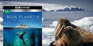 filme stream seiten inception 4k blu ray filme und player f 252 r ultra hd blu rays filme stream seiten inception 4k blu ray filme und player f 252 r ultra hd blu rays