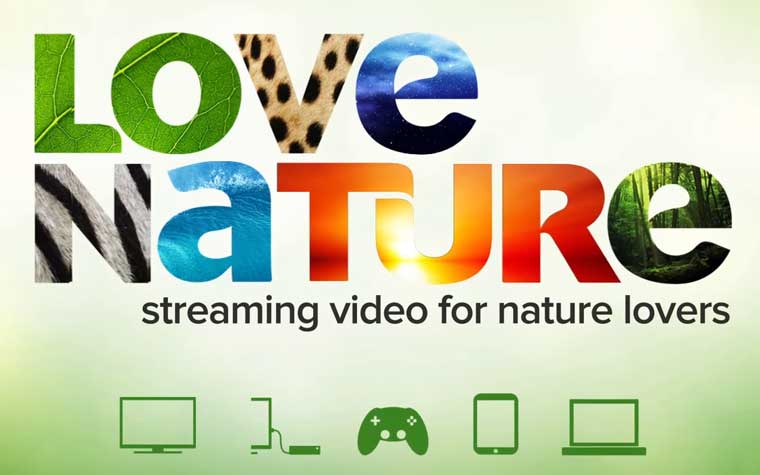 Love Nature 4K