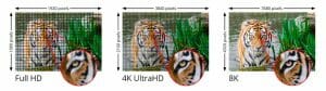 Der Detailgrad bei 8K Aufnahmen ist nochmals besser als bei 4K Ultra HD