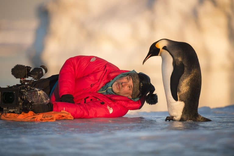 „Die Reise der Pinguine 2“ auf 4K UHD Blu-ray strapaziert eure Taschentuch-Vorräte