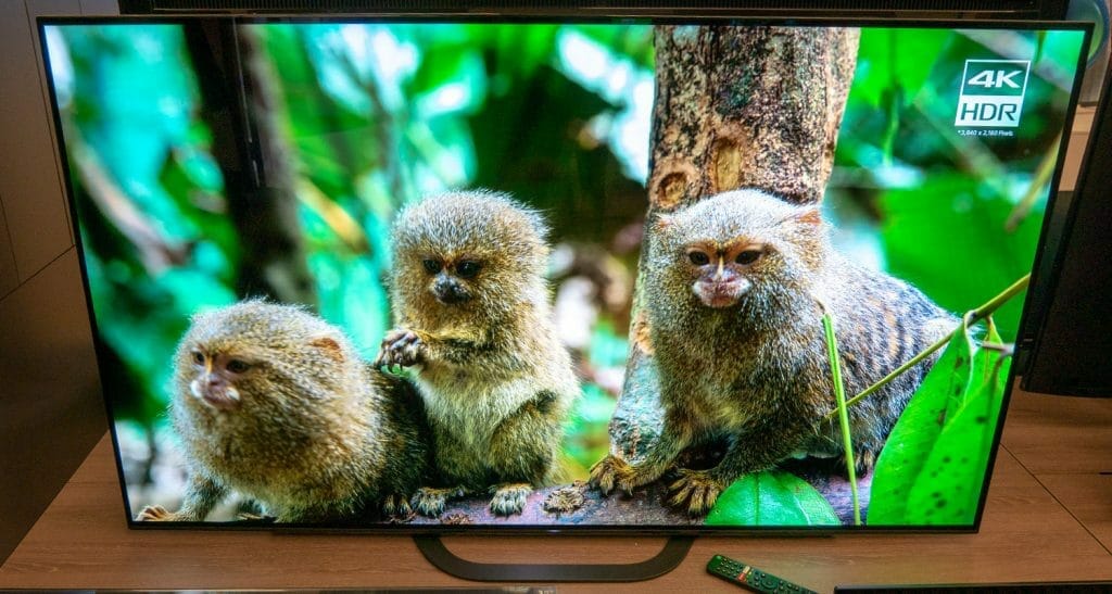 Der Sony AG8 4K OLED TV in 55 Zoll (auch in 65 Zoll erhältlich)