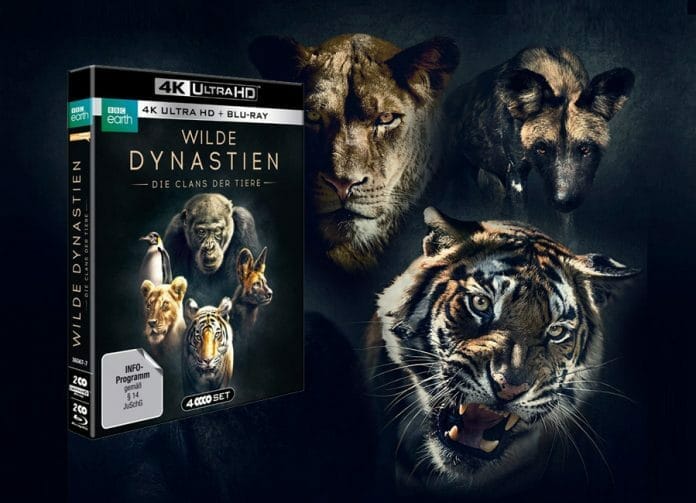 WILDE DYNASTIEN - Die Clans der Tiere erscheint auf 4K UHD Blu-ray