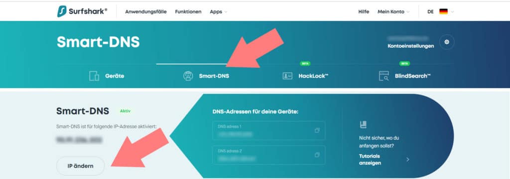 Smart DNS für die eigene IP-Adresse erstellen