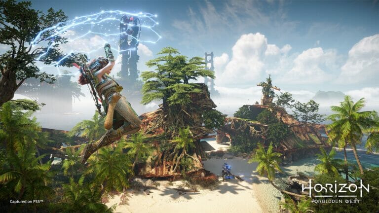 „Horizon Forbidden West“ Collectors Edition für PS4/PS5 ohne Disc! (Update)