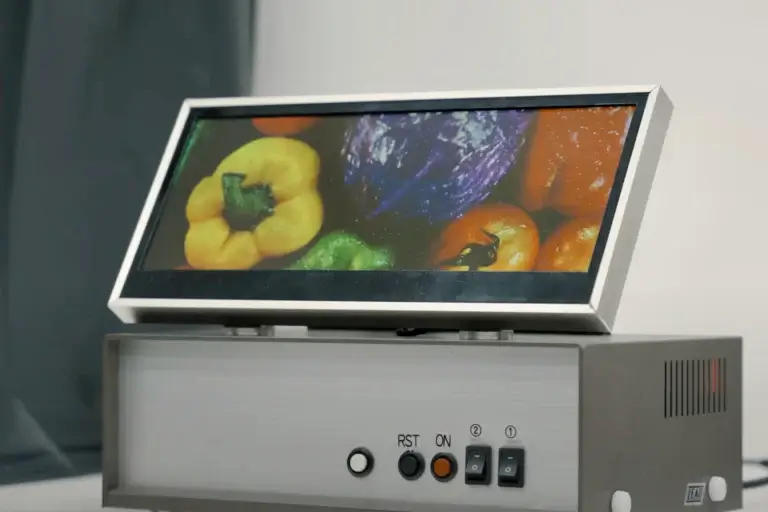Sharp hat ein innovatives QDEL-Display auf der CES 2024 gezeigt