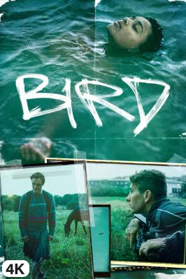 Bird in 4K Ultra HD auf Apple TV kaufen / leihen