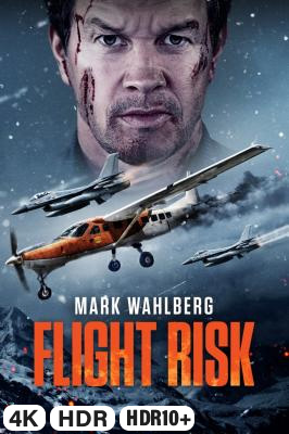 Flight Risk in 4K Ultra HD auf Apple TV kaufen / leihen