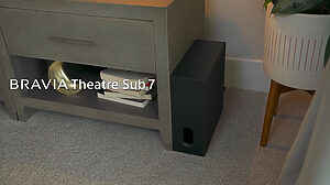 Sony Bravia Theatre Sub 7 Subwoofer