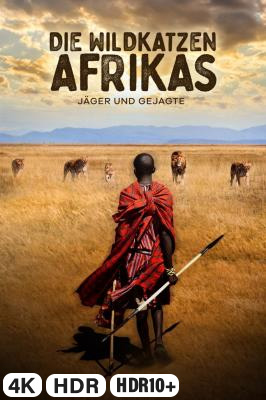Die Wildkatzen Afrikas in 4K Ultra HD auf Apple TV kaufen / leihen