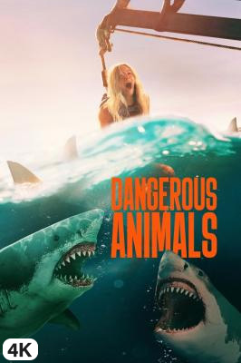 Dangerous Animals in 4K Ultra HD auf Apple TV kaufen