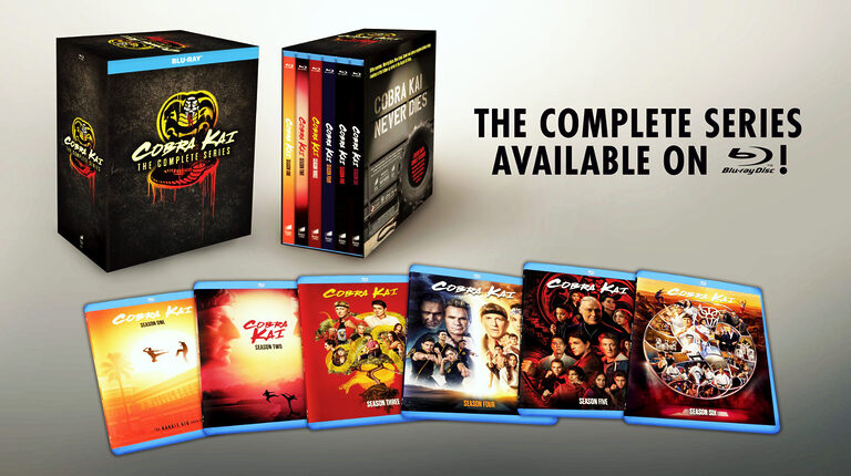 Cobra Kai: Der Netflix-Hit erhält endlich eine Komplettbox auf Blu-ray