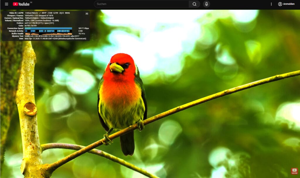 Selbst 8K-Videos auf Youtube schafft der Geekom Air12 2026. Der Arbeitsspeicher füllt sich jedoch entsprechend. 