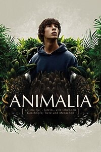 Animalia (2024)