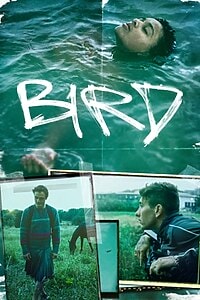 Bird (2025)