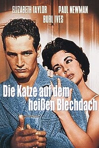 Die Katze auf dem heißen Blechdach (2001) – Apple TV