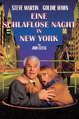 Eine schlaflose Nacht in New York (1999) – Filmcover