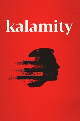 Kalamität (2010) – Filmcover