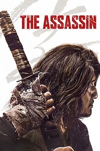 The Assassin (2023)