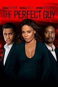 The Perfect Guy (2015)