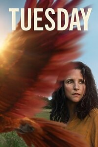 Tuesday (2024)