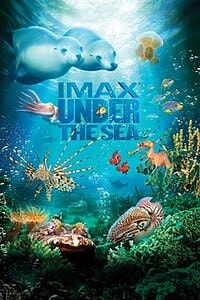 Under the Sea (2024)