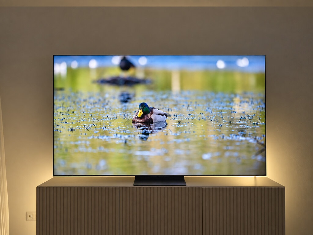 Ente, Ente, Ente, Ente, Ente... auf TCLs Super-Quantum-Dot Mini-LED-TV.